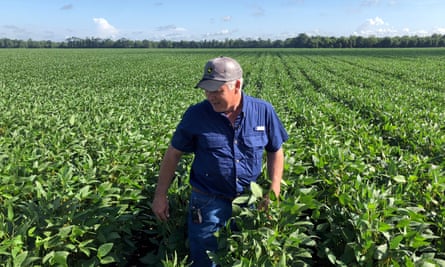 A US farmer with his soya bean crop