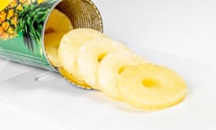 Canned pineapple rings on a white background coming out a tin