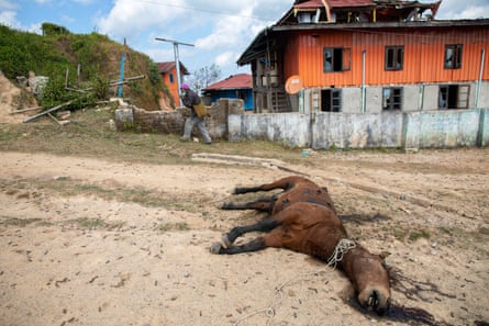 A dead horse riddled with bullets lies on the ground as a man creeps past a ruined house in the background