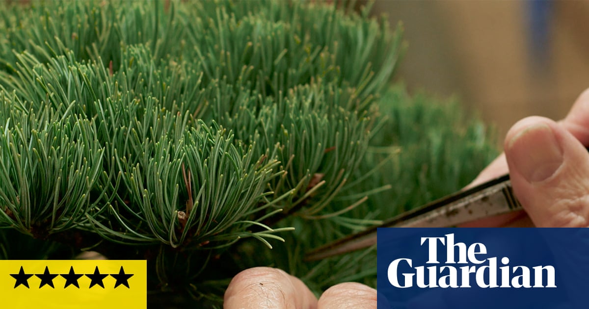 Light Needs review – a blooming lovely meditation on plants and their people