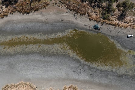 A dried-up water hole