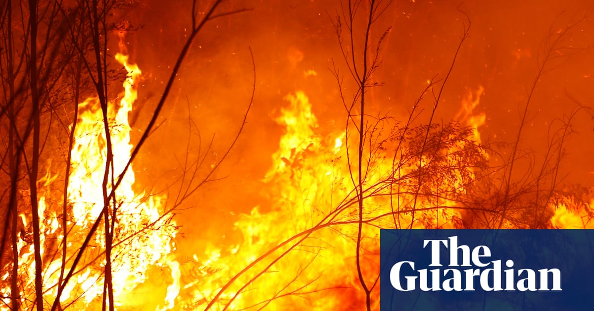 'Catastrophic wildfire loop' created after colonisation left parts of Australia more at risk from bushfires, study finds