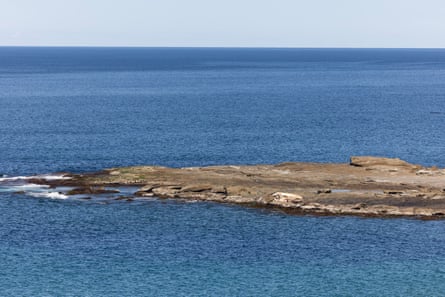 The whale carcass was discovered on the rock shelf