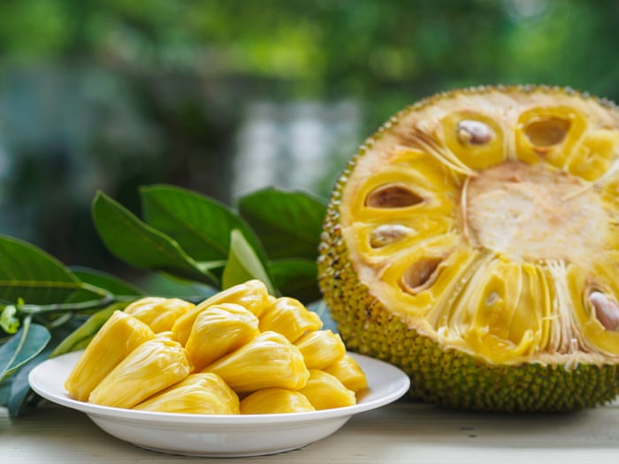 Image result for The Jack Fruit