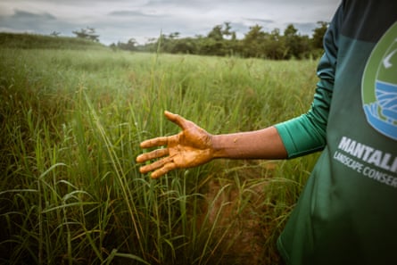 A man’s hand coated with an orange liquid in front of a paddy field