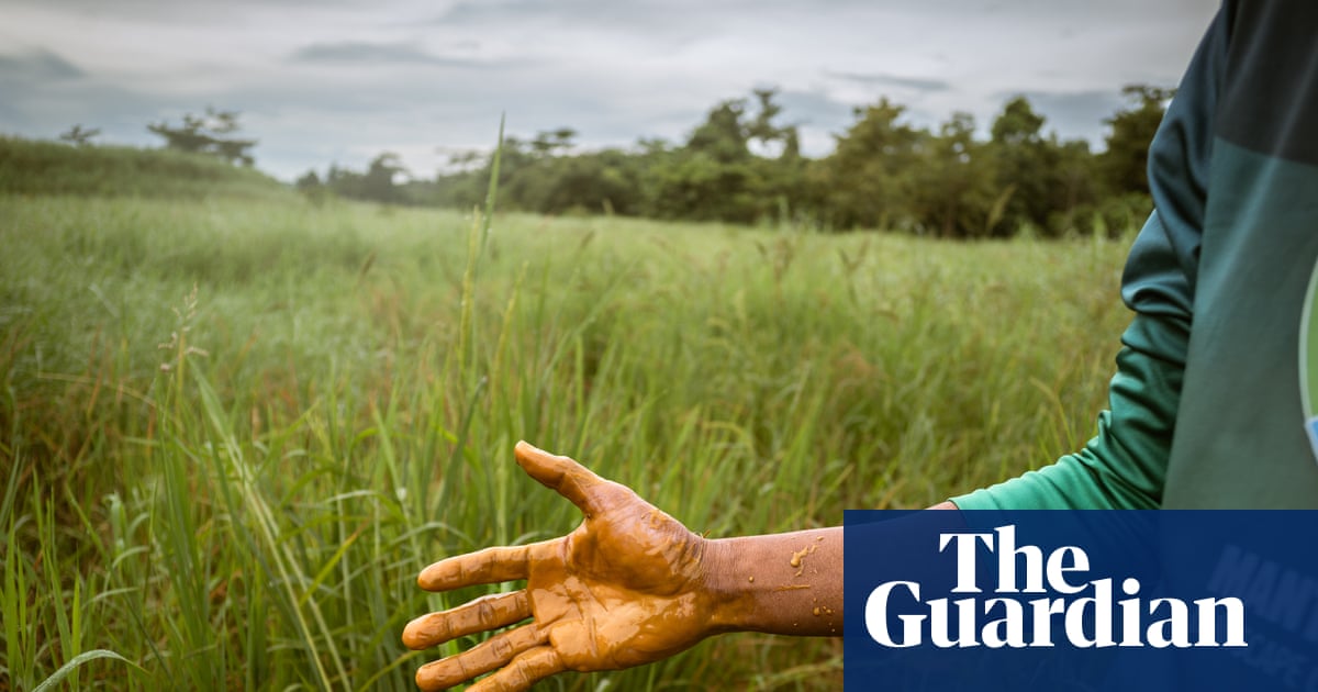 ‘The last frontier’: how red globules of nickel ore are suffocating an island’s precious wilderness