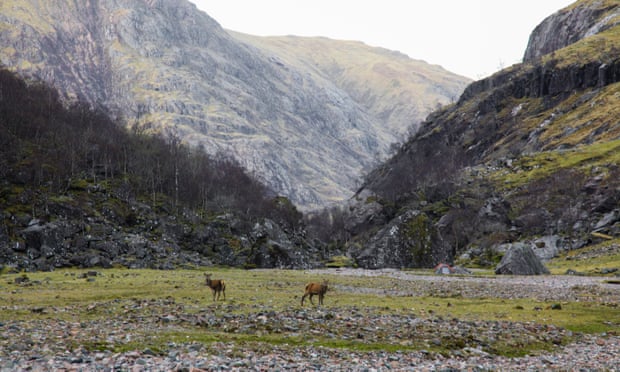 Lost Valley. Wild Guide Scotland