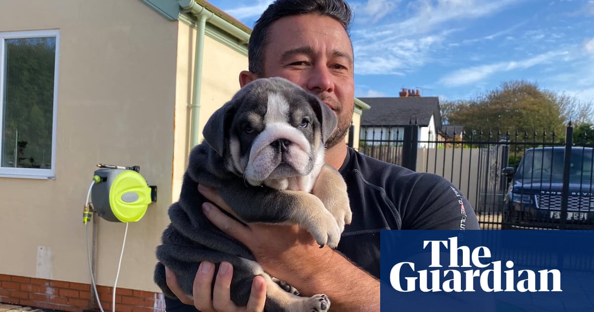 Dog Breeders Ordered To Pay 400 000 For Animal Welfare Offences Animal Welfare The Guardian Dog Breeders Ordered To Pay 400 000 For Animal Welfare Offences Animal Welfare The Guardian