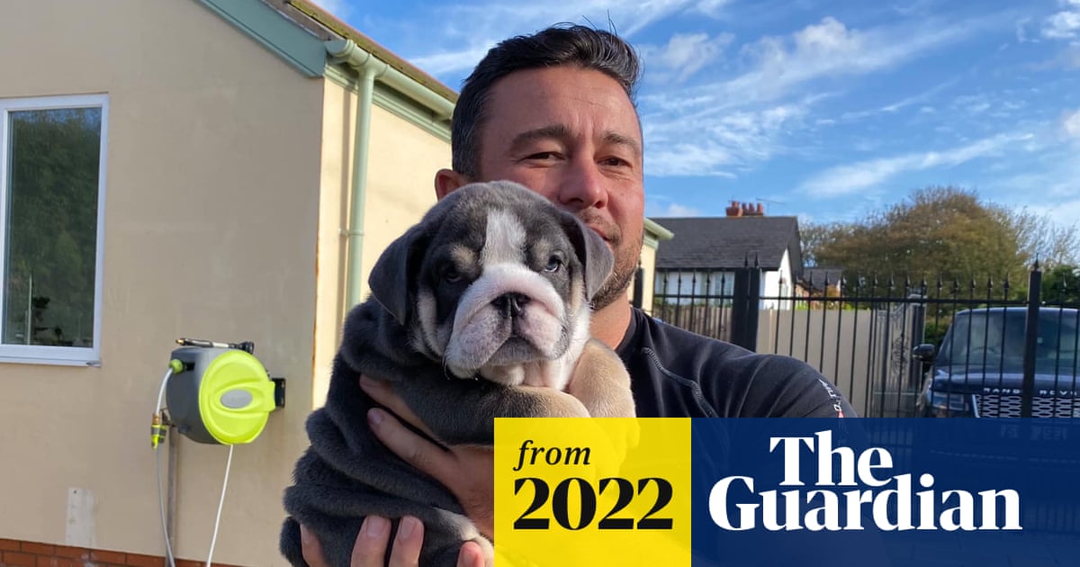 Is Breeding Dogs Profitable? Uncover the Truth