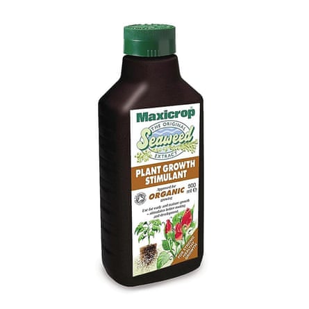 Maxicrop Original seaweed Extract Plant Feed, www.diy.com
