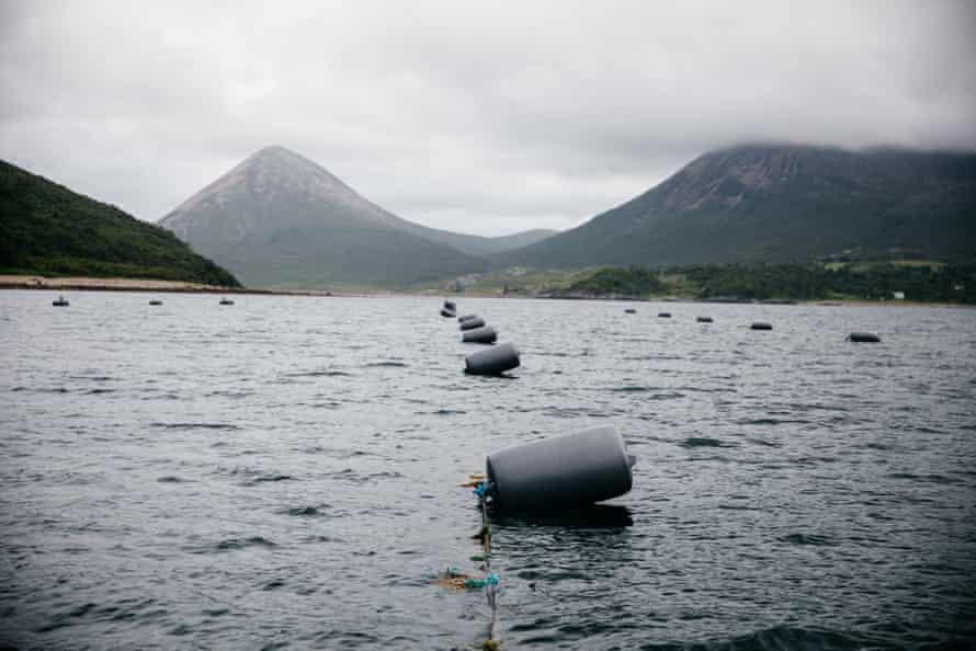 Floats for mussel lines sit on Loch Slapin, against the backdrop of the Cuillin hills