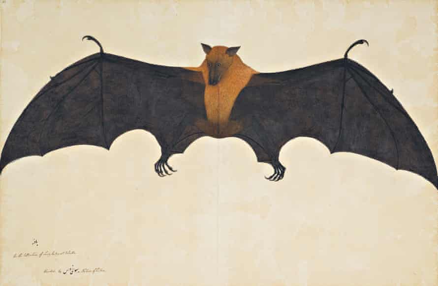 ‘Forgotten masters’: auction shines light on India’s overlooked artists | Art 1 A Great Indian Fruit Bat, by Bhawani Das