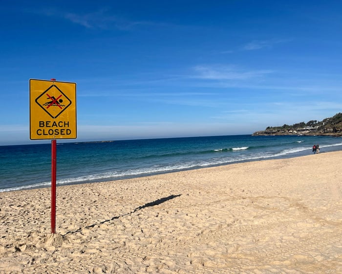 Australia news live: Experts push back at call for shark cull after attack; university students report freedom of…