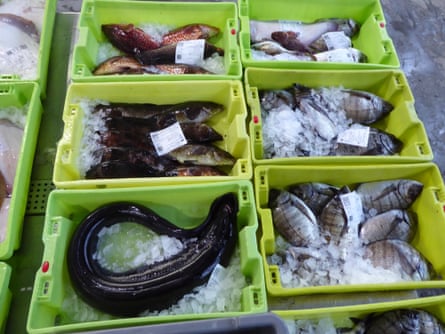 A selection of fish, from conger eel to red mullet at the Fisterra market in Galicia.
