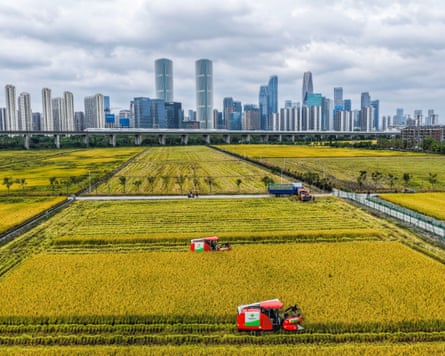 Hangzhou’s skyline over paddy fields on the outskirts of the city.