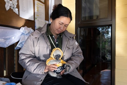 A woman holds a tiny baby gibbon wearing a hoodie