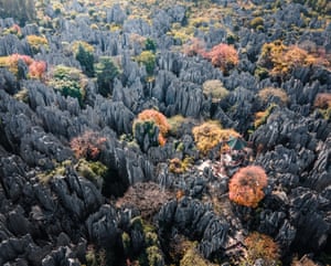 Sense of Place shortlist: Autumn in the Stone Forest in Kunming, China by Eric Sieidner