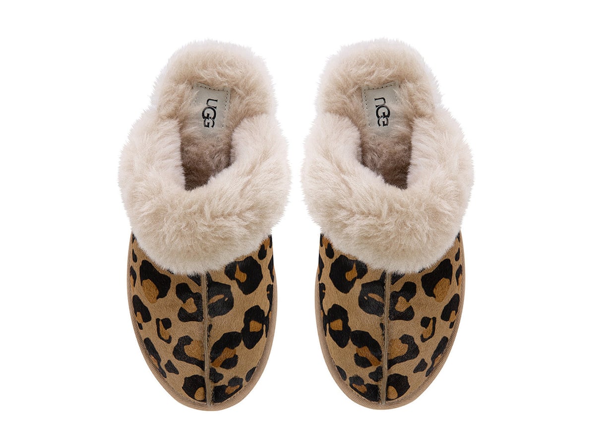 Are slippers shoes Clearance