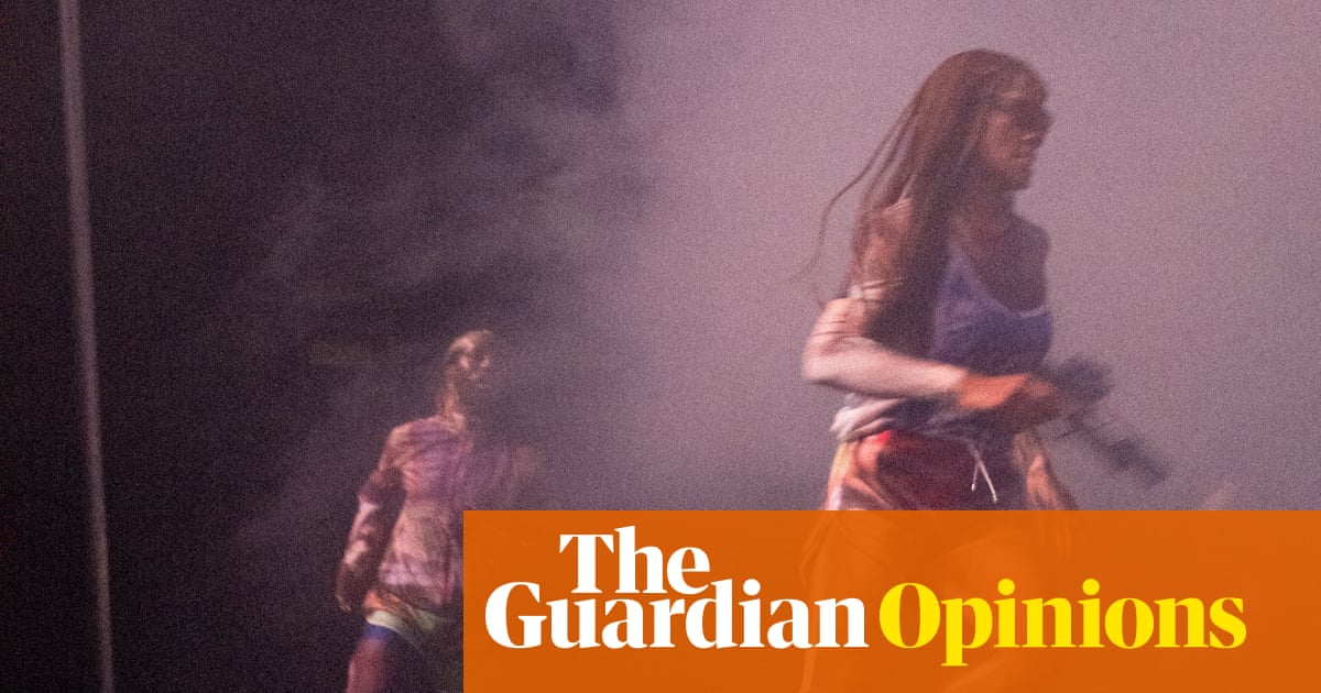 Germany's anti-diversity backlash isn't fatigue it's strategy masquerading as neutrality | Fatma Aydemir