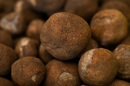 Polymetallic nodules, misshapen black globes encrusted with coveted metals like cobalt, nickel and manganese, onboard the research vessel MV Anuanua Moana in Rarotonga, Cook Islands.