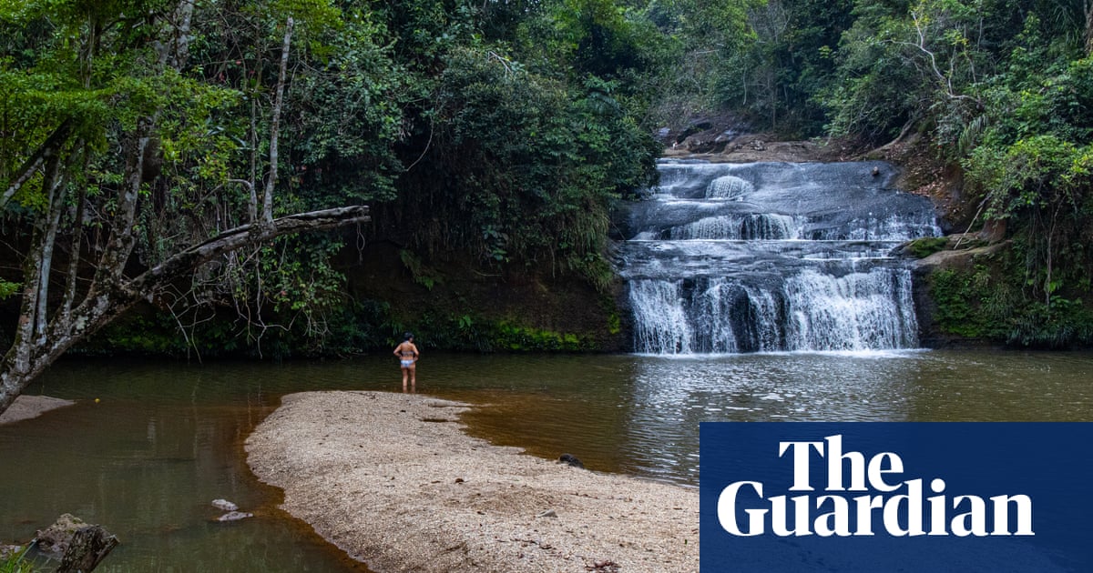 I'm in love with the birds and the river': how ecotourism helped a small Colombian town recover from war