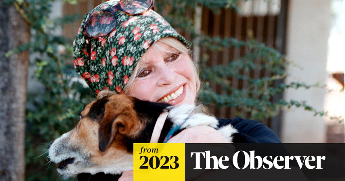 Brigitte Bardot: 'I don't understand why the whole world is still talking about ...