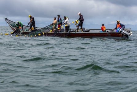 Six men in a long thin pirogue-type boat pull in a fishing net with floats with a boy and a man by the outboard motor sitting down