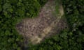case study a kayapo swidden field in brazil's amazon region