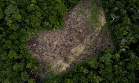 Deforestation and the destruction of habitats in Amazon, Colombia, as seen in March 2023.