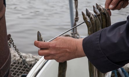 Oosterbaan smokes his eels on board the boat