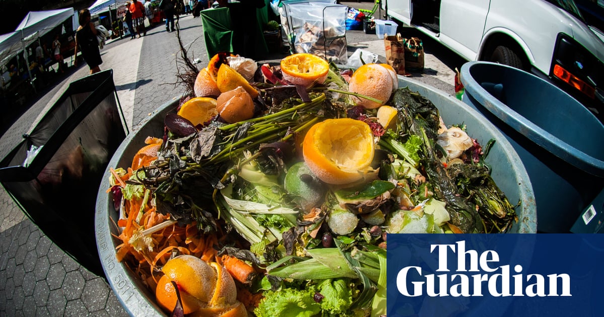 What a waste: New York City budget cuts eviscerate community composting groups | New York