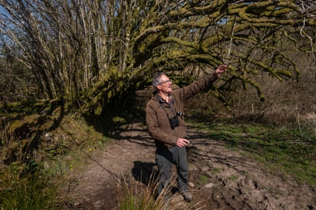 A man stands in front of an old tree, his hand outstretched