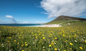 Machair