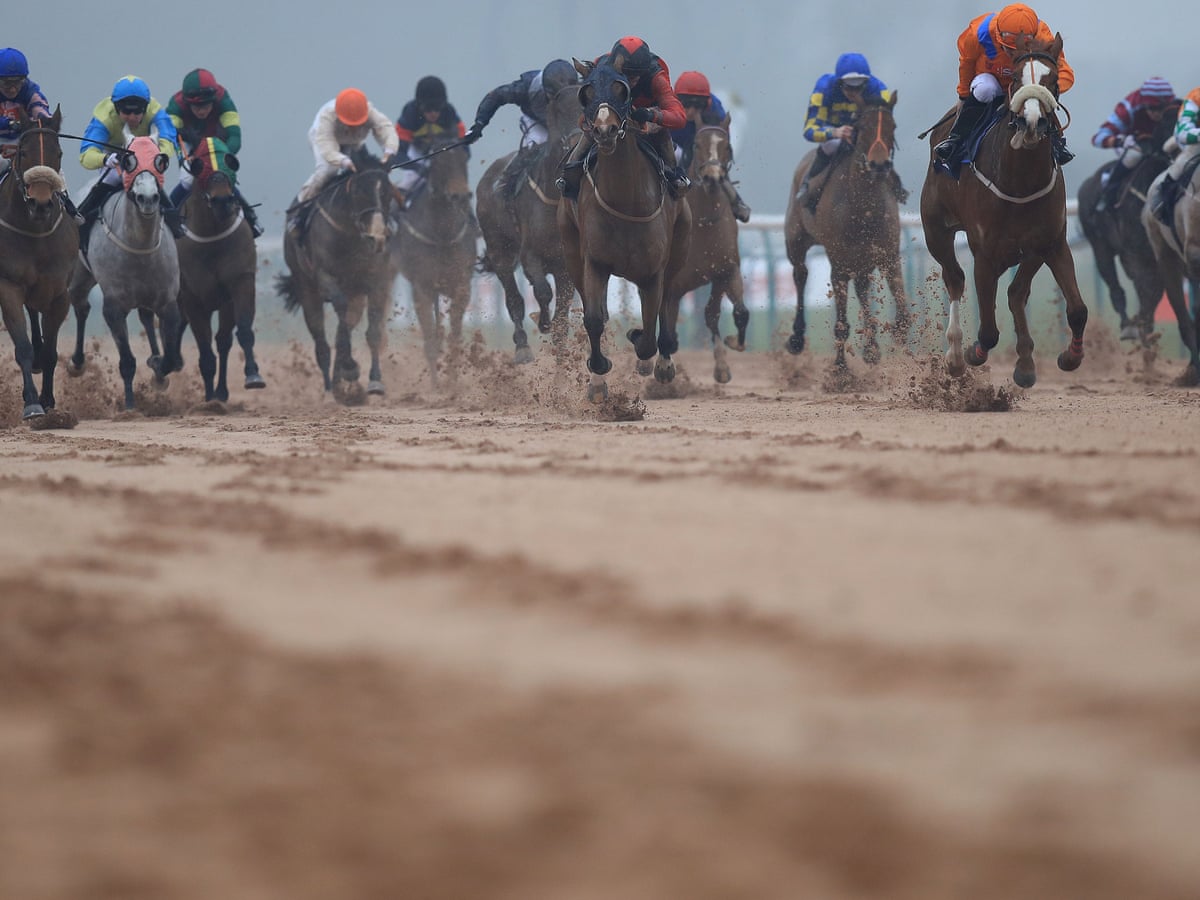 Talking Horses Tuesday S Best Bets For Exeter Southwell And Newcastle Sport The Guardian