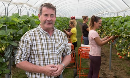 Soft fruit farmer Alistair Brooks, owner of Langdon Manor farm