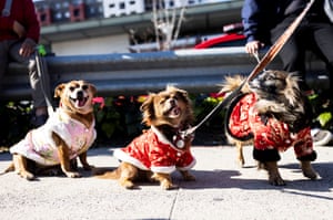 Los Angeles, US: Lizzie, William and Kathy take part in the lunar new year parade