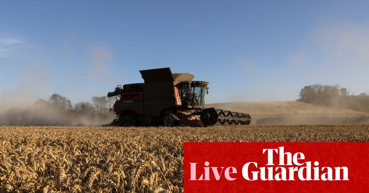 Wheat price heading for biggest jump in two months; insolvences rise in England and Wales – business live
