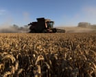 Wheat price heading for biggest jump in two months as Iran war threatens food insecurity – business live
