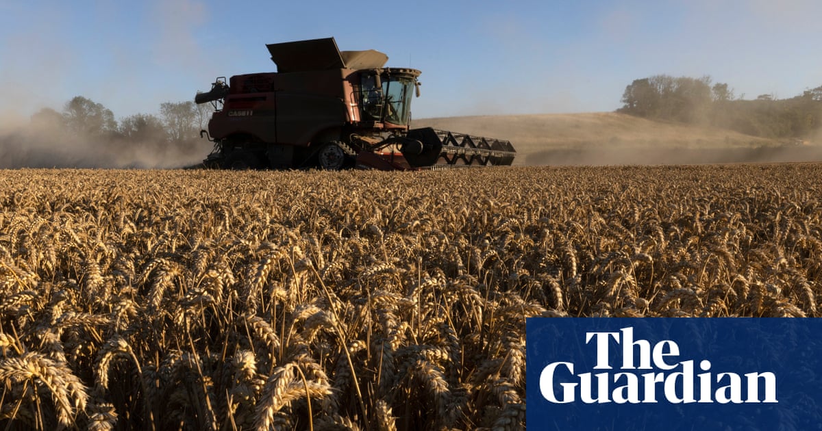 Trade deal with US could spell end of UK's bioethanol industry, say bosses