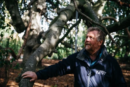 Tony Kirkham MBE, Head of the Arboretum at Royal Botanic Garden, Kew