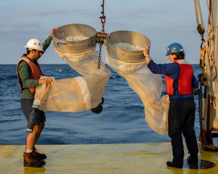 Two people holding long nets by the side of a boat