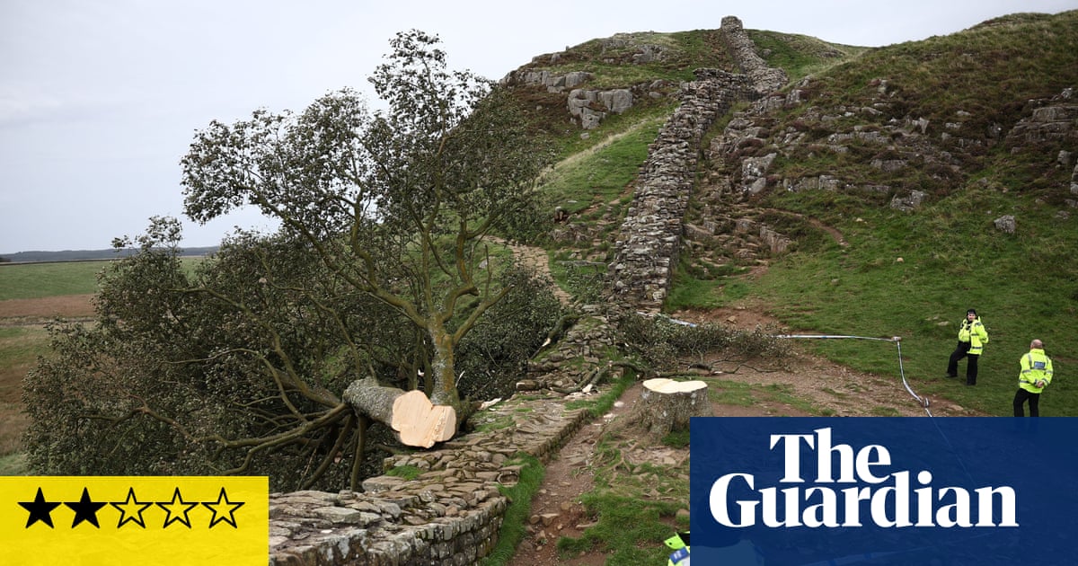 The Sycamore Gap Mystery review – so bad it should be charged for criminal damage to your intellect