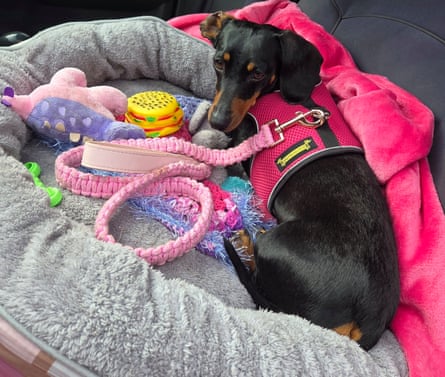 Valerie, back in the lap of luxury