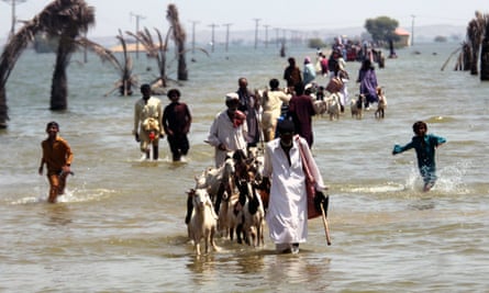 People, including some with goats, walk through flood water towards the camera