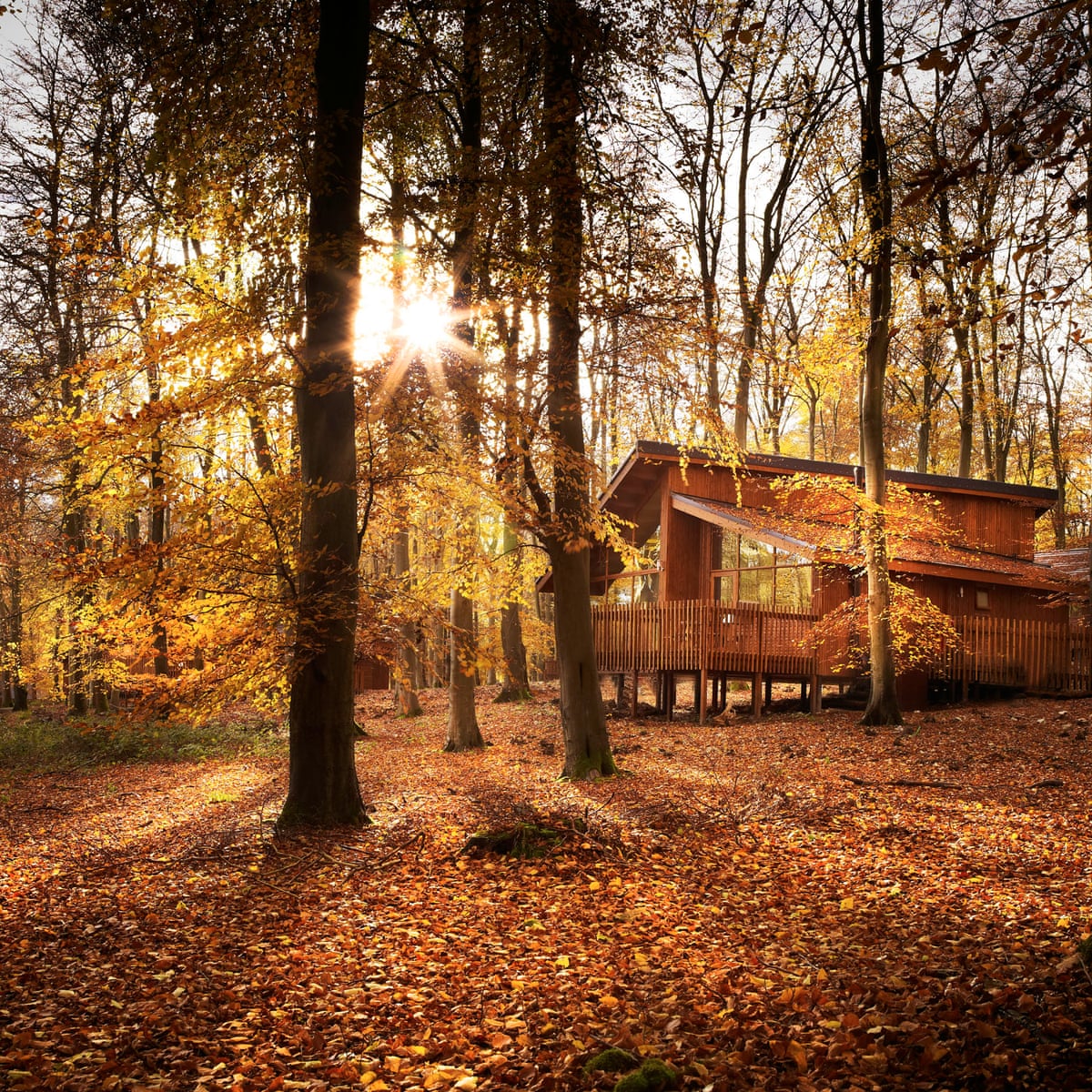 3307.jpg?width=1200&height=1200&quality=85&auto=format&fit=crop&s=ffbf9b040d95126290b48ab0e536f638