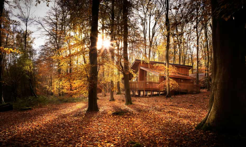 Down to the woods … a family break in a forest cabin | Glamping | The ...