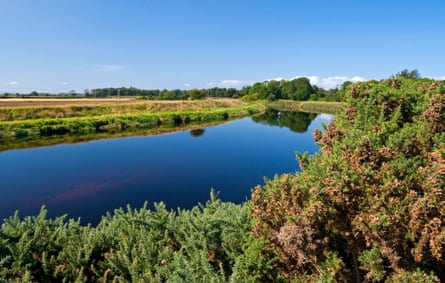 A view of the River Roe on a sunny day