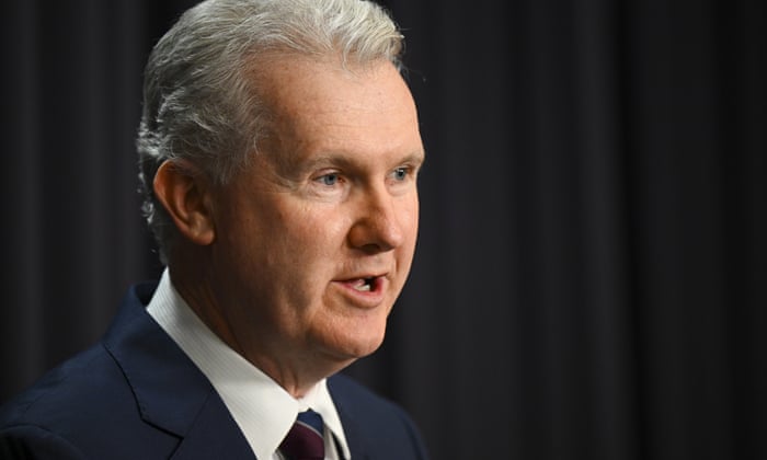 Employment minister Tony Burke