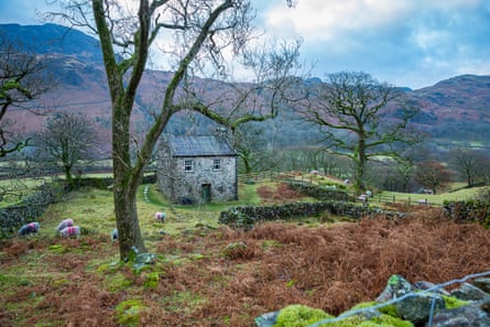 A stone cottage set among pasture with a mountain backdrop in the Lake District
