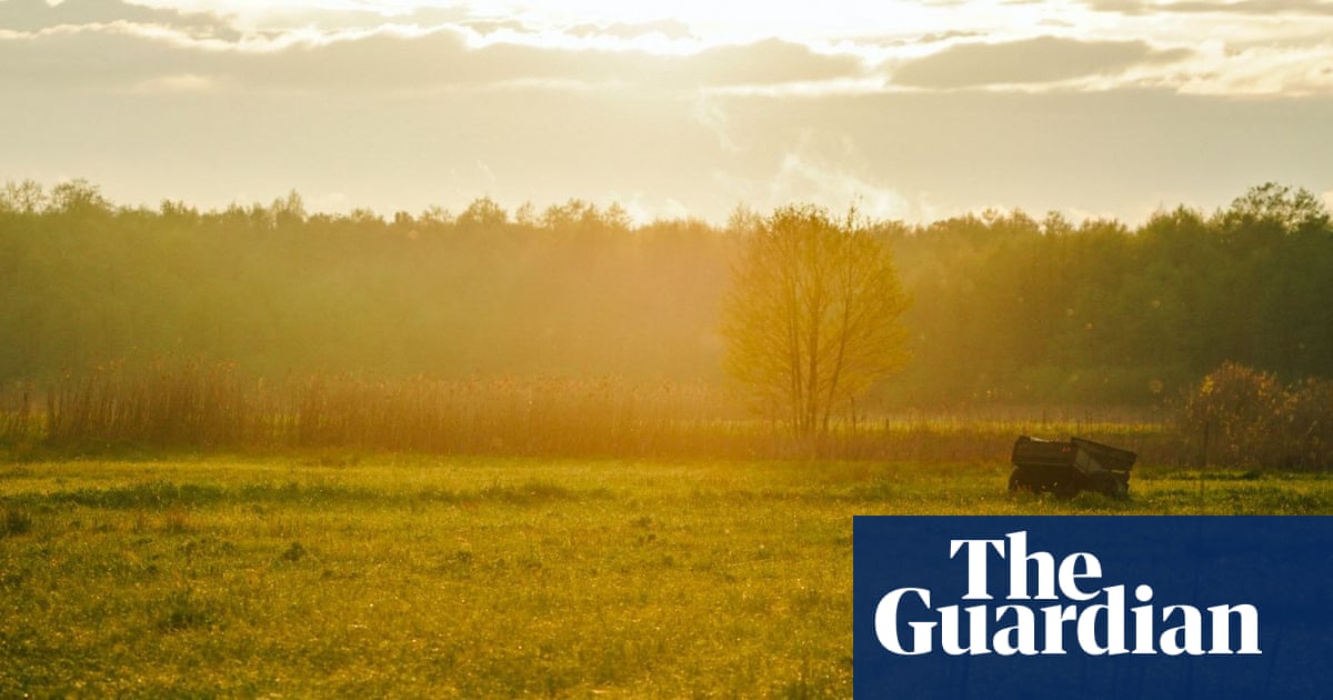 Country diary: A jaw-dropping bounty of wildlife – and a reminder of what Britain has lost | Amy-Jane Beer